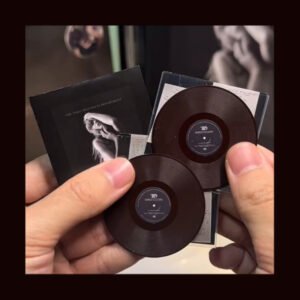 TTPD mini ink black vinyl