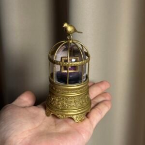 mini bird cage snow globe